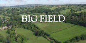 big field